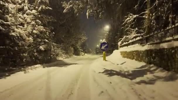 冬天的夜晚 城市街道上用现代路灯向后照亮着飘落的雪花 公园里的雪片被强光照亮了 暴风雪和强风 优质Fullhd — 图库视频影像