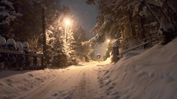 冬の夜に街路の近代的な街灯で降る雪のバックライト 公園の明るい光で照らされた雪片 雪の嵐 そして強い風 高品質のフルHd — ストック動画