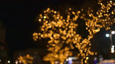 Krakow Meydanı 'ndaki Noel ağaçlarında çelenk lambaları. Yılbaşı gecesi sokaklardaki köknar ağaçlarının aydınlatılması. Kış gecesi. 
