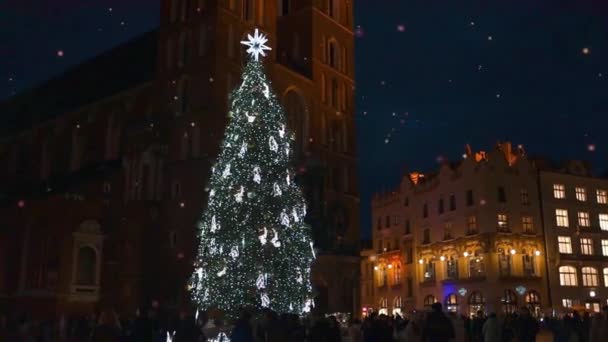 Stilvolle Goldene Weihnachtsbeleuchtung Und Weihnachtsbaum Krakau Polen Hauptplatz Und Tuchhalle — Stockvideo