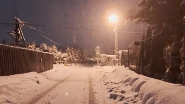 Active Irish Setter Dog Running Slow Motion Footage Snowy Walking — Stock Video