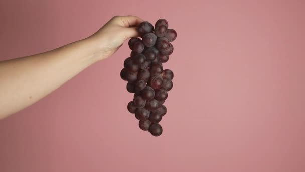 Bunch Grapes Hand Girl Young Woman Shows Heap Pink Grapes — Stock Video