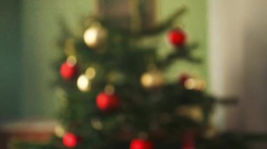 Süslü ağaçlı bulanık Noel sahnesi ve arka planda ışıklar. 