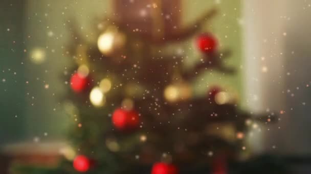2024 Fairy Light Christmas Tree Festive Blurred Bokeh Abstract Background — Stock Video