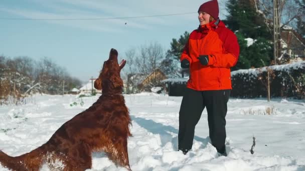Kobieta Wydaje Polecenie Swojemu Irlandzkiemu Psu Setterowi Świeżym Powietrzu Zimie — Wideo stockowe