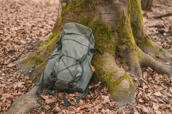 Travel camping backpack or military hunting bag leaning against a tree on the forest floor. Travel, hiking and camping concept, copy space for text. High quality photo