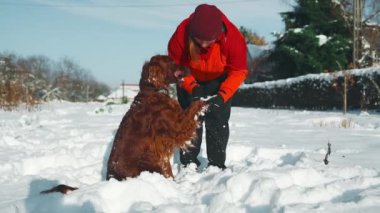 Kadın kışın, İrlandalı yerleşimci köpeğine dışarıda emir veriyor. İnsan ve hayvanın dostluğu, sağlıklı yaşam tarzı. Yüksek kaliteli FullHD görüntüler