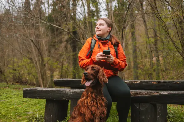 Mujer Feliz Activa Con Perro Setter Irlandés Sentado Cerca Bosque Imagen De Stock