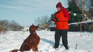Kadın kışın, İrlandalı yerleşimci köpeğine dışarıda emir veriyor. İnsan ve hayvanın dostluğu, sağlıklı yaşam tarzı. Yüksek kaliteli FullHD görüntüler