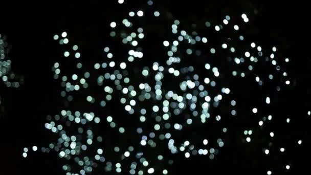 Garlandova Lampa Vánočních Stromečcích Krakově Náměstí Slavnostní Osvětlení Jedlích Silvestrovských — Stock video