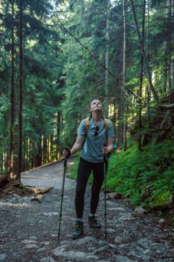 Sırt çantasıyla ormanda gezen gezgin kadın yaz ormanlarında güneşin doğuşunun tadını çıkarıyor.