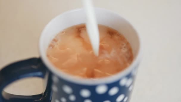 在一杯红茶中加入牛奶 将牛奶倒入桌上的杯子红茶中 — 图库视频影像