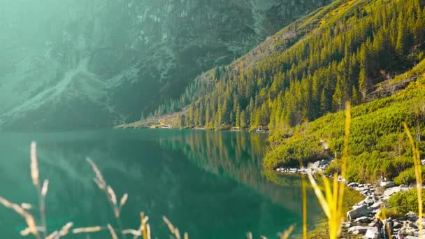 타트라 국립공원 폴란드 일출에 유명한 모르스키 Tatras 풍경의 아름다운 고품질 — 비디오