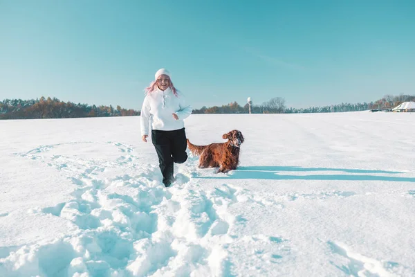 Active Irish Setter dog with woman running slow motion footage during the snowy walking, having fun in winter park during beautiful sunny winter day. High quality FullHD footage