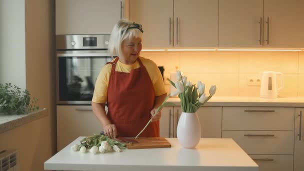 Energetische Ältere Kaukasische Frau Der 60Er Jahre Schneidet Tulpenstengel Mit — Stockvideo