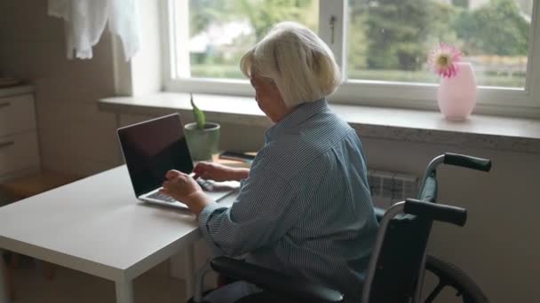 Niezależna Programistka Siedząca Wózku Inwalidzkim Używająca Laptopa Domu Niepełnosprawność Przezwyciężająca — Wideo stockowe