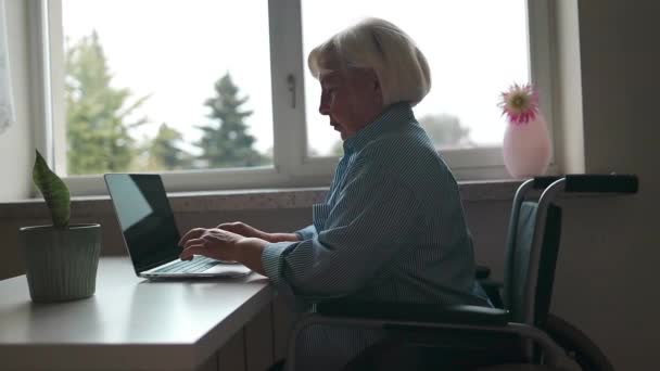 Pewna Siebie Szczęśliwa Bizneswoman Wózku Inwalidzkim Pracująca Biurze Korzystająca Laptopa — Wideo stockowe