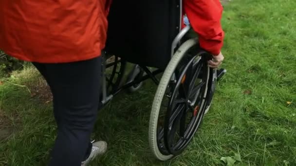 女性は車輪に手を握る 近くには彼の同僚がいる ヘルスケアサービスと障害者サポート — ストック動画