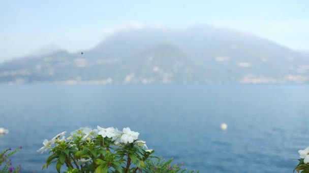 ヴァレンナからベラージオに向かうコモ湖のパノラマ風景 夏には澄んだ空と水上ボート ヴァレンナとコモ湖の家 高品質のフルHd映像 — ストック動画