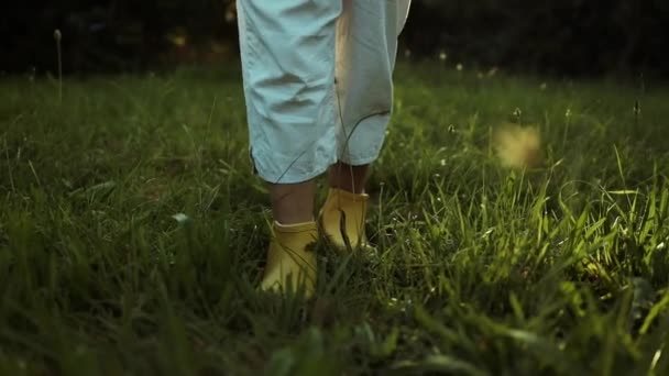 农民的脚在草地上走着 农业商业概念 一个农民在日落时走过一片黑色耕地的轮廓 穿着橡胶靴的农民腿的生活方式特写镜头 — 图库视频影像