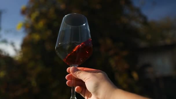 Wijnboer Zijn Wijngaard Ruikt Proeft Een Glas Van Hoge Kwaliteit — Stockvideo