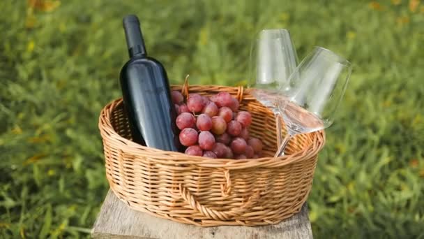 Romantyczny Piknik Świeżym Powietrzu Martwa Natura Butelka Czerwonego Wina Dwa — Wideo stockowe