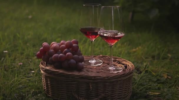 两杯成熟葡萄酿制的干玫瑰酒 在葡萄园的柳条筐上放着一瓶葡萄酒 背景是葡萄种植园 — 图库视频影像