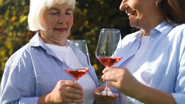 異なる年齢の2人の女性が庭の裏庭で何かを祝っています かなり中年の女性と大人の娘がワインを飲んで 夏の日 — ストック動画
