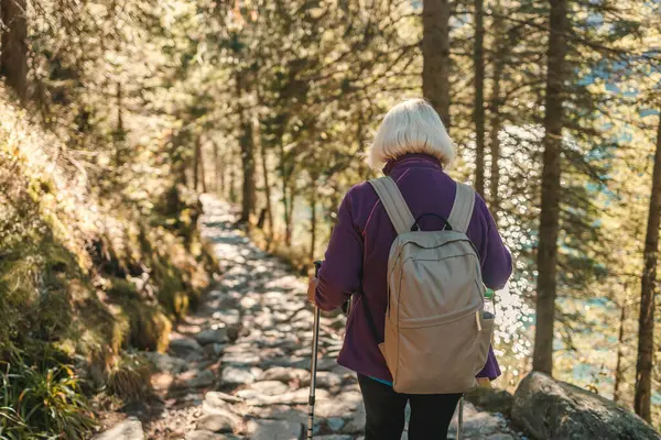 Yürüyüş, olgun Kafkas kadın egzersiz, tatil yürüyüşü ve dağların tadını çıkarmak için doğada. Seyahat, emeklilik ve ormanda yürüyüş yapan yaşlı bir adam ve kadın.