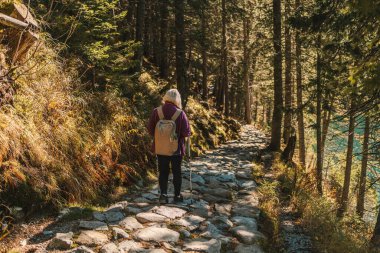 Yürüyüş, olgun Kafkas kadın egzersiz, tatil yürüyüşü ve dağların tadını çıkarmak için doğada. Seyahat, emeklilik ve ormanda yürüyüş yapan yaşlı bir adam ve kadın.