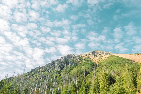Tatra Ulusal Parkı, Polonya. Panorama Ünlü Dağları Morskie Gölü Oko. Yüksek kalite fotoğraf