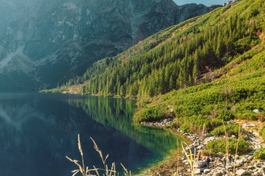 Polonya 'daki Tatra Ulusal Parkı. Ünlü dağlar Morskie Oko Gölü veya High Tatras 'taki Sea Eye Gölü. Beş Göl Vadisi. Yüksek kalite fotoğraf