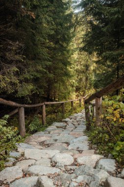Dağ manzarası yürüyüş yolu ve güzel göller Morskie oko veya deniz gözü gölü Yüksek Tatras, Tatra Ulusal Parkı Polonya 'da.