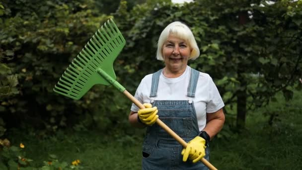 Gardener Mulher Raking Folhas Outono Jardim Mulher Com Ancinho Trabalho — Vídeo de Stock
