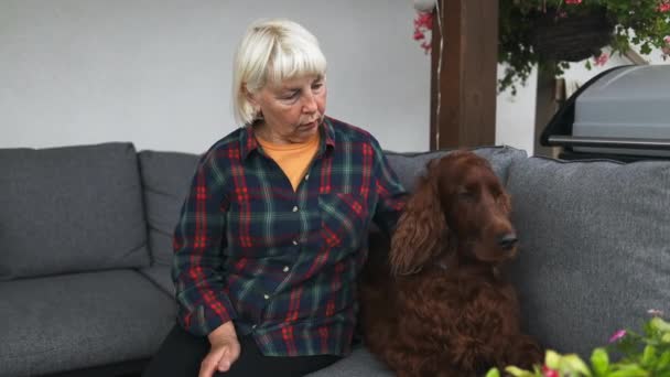 Bella Bionda Anni Donna Anziana Con Cucciolo Riposo Sul Divano — Video Stock