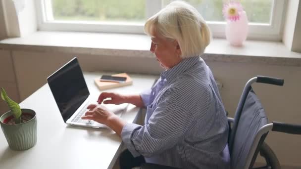 Freelance Programmeur Vrouw Zit Een Rolstoel Met Behulp Van Laptop — Stockvideo