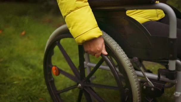 Běloška Invalidní Starší Žena Sedí Vozíčku Venku Parku Zdravá Silná — Stock video