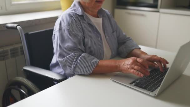 Programador Freelance Mulher Sentada Cadeira Rodas Usando Laptop Casa Conceito — Vídeo de Stock