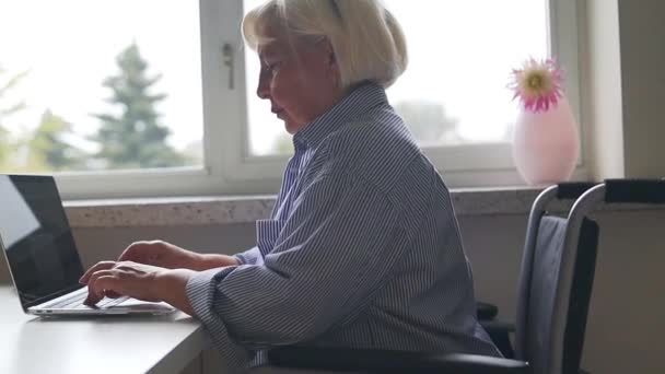 自由程序员妇女坐在轮椅上 在家里使用笔记本电脑 克服残疾的概念 优质Fullhd影片 — 图库视频影像