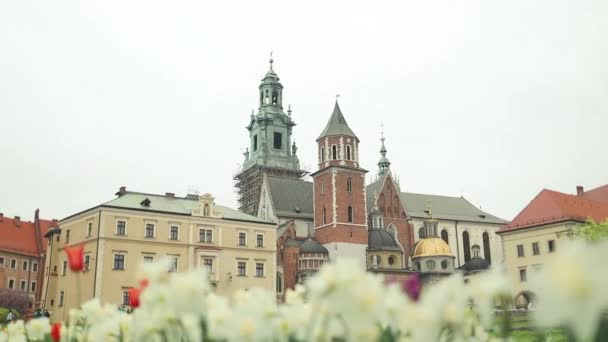 Letni Widok Kompleks Zamkowy Wawelu Krakowie Jest Najbardziej Historycznie Kulturowo — Wideo stockowe