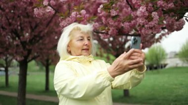 Kıdemli sarışın kadın gezgin, bahar aylarında Sakura bahçesinde yürürken ve doğanın, seyahatin ve yaz maceralarının tadını çıkarırken akıllı bir telefonla fotoğraf çekiyor. Yüksek kalite fotoğraf