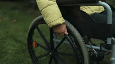 Kafkasyalı engelli yaşlı kadın dışarıda parkta tekerlekli sandalyede oturuyor. Sağlıklı güçlü tıbbi konsept. Yüksek kaliteli FullHD görüntüler