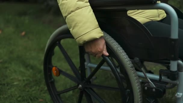 Caucasian Disabled Elderly Woman Sitting Wheelchair Outdoors Park Healthy Strong — Stock Video
