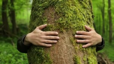 Kapalı kadın elleri bir yaz ormanında ağaca sarılıyor, doğanın tadını çıkarıyor. Küresel karbondioksit ve küresel ısınma sorunu kavramı. Doğanın sevgisi. Ellerini bir ağacın gövdesine dola. Yüksek kalite FullHD