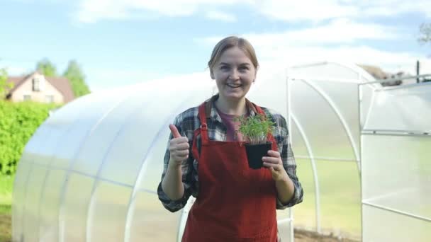 Agricultrice Professionnelle Contrôlant Exploitation Semis Tomates Cerises Dans Une Caisse — Video
