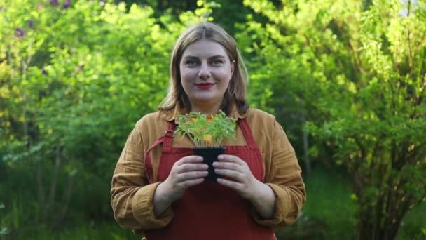 Mezőgazdaság Női Gazda Kezek Dolgozó Kertészkesztyű Gazdaság Levél Termesztett Növény — Stock videók