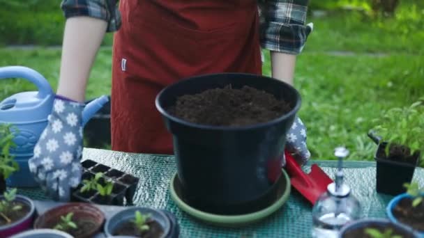 냄비에 추가하거나 정원에서 야채와 재배하기 토양을 복용하는 스페이드 방법을 사용하여 — 비디오