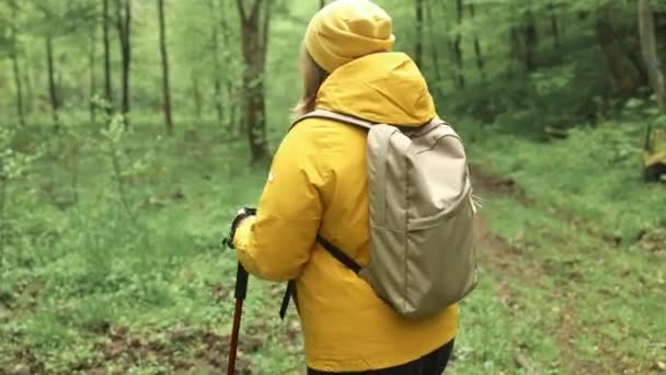Samotna Podróżniczka Plecakiem Wędrująca Leśną Ścieżką Górskiego Jeziora Podróżniczka Patrząca — Wideo stockowe