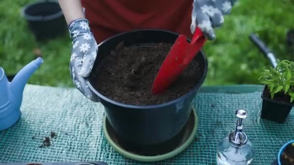 냄비에 추가하거나 정원에서 야채와 재배하기 토양을 복용하는 스페이드 방법을 사용하여 — 비디오