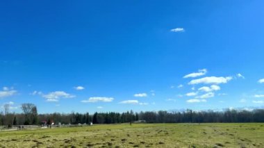 Çevresindeki tarlalar, ağaçlar, açıklıklar ve çiçeklerle birlikte hareket eden bir trenin penceresinden bakın. Yüksek kalite 4k görüntü